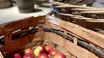 Apfel und Saft 1