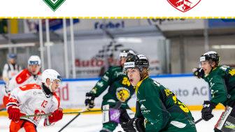HC Thurgau - EHC Visp
