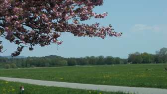 Allmend Frauenfeld
