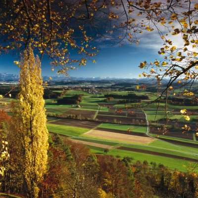 Aussicht Sonnenberg Stettfurt Lommis