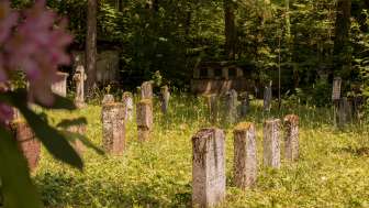 Waldfriedhof mit Grün Schaffhausen Waldfriedhof mit Grün Schaffhausen