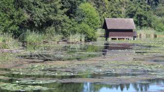 Bommer Weiher