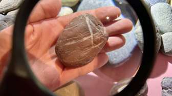 Bestimmungs-Crashkurs