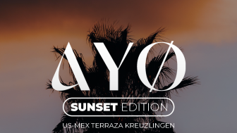 260828 kr AYØ story