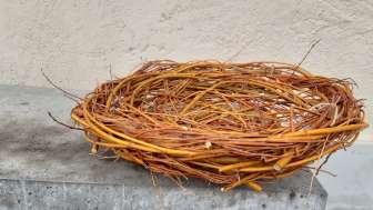 Weidekorb Kartause Ittingen