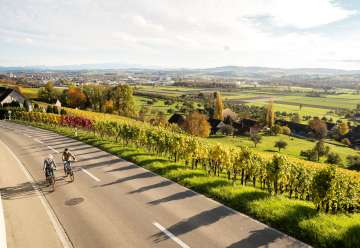 Maerstetten_Ostschweizer_Weinroute_Rebberge_ST_Herbstkampagne_21 ebike