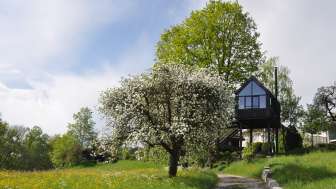 Baumhaus Thurgau Baumhaus Thurgau