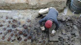 Offene Grabung in Eschenz