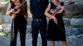 Dernière Konzert mit Trio Ambiente - Staubgefässe