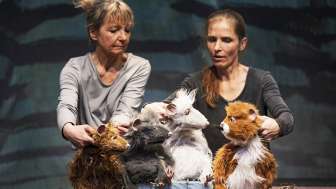Die Muskeltiere
