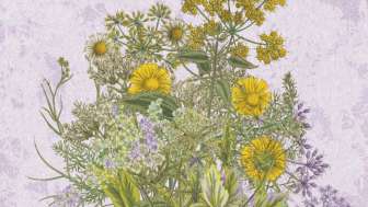 Allein die Dosis macht's