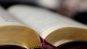 Lektorenkurs "Los emol"