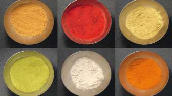 Staubgefässe - Farben der Vergänglichkeit