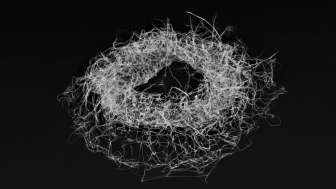 Über die Verhältnisse