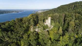 Ruine Neuburg Ruine Neuburg