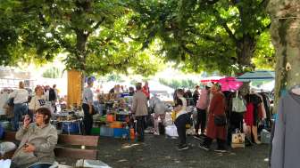 Flohmarkt im Dreispitzpark Kreuzlingen Flohmarkt im Dreispitzpark Kreuzlingen