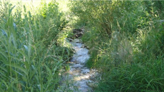 Referat von Kurt Seiler: Gifte im Wasserkreislauf - Eine stille Gefahr