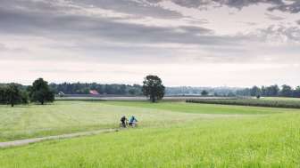 Geführte Fahrradtour durch den Oberthurgau