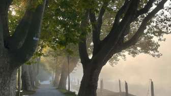 Bäume erzählen Geschichten © Grün Schaffhausen