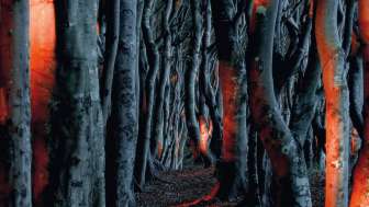 1756132195664KJ Okt25 Mrz26 630x300px S72[1]