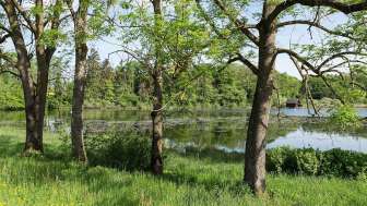 1280px Groossweiher am Südrand von Kreuzlingen