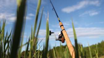 Kundelfingerhof Angebot Angelrute Schilf