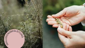 Inklusives Erlebnis – Unbegrenzter Blütenzauber: Rundgang im Klostergarten