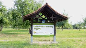 Obstsortensammlung Roggwil TG Obstsortensammlung Roggwil TG