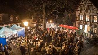 (c) Albert Baumgartner