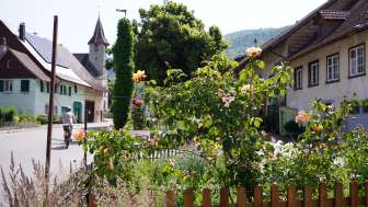 Vortragsabend: Garten der Zukunft