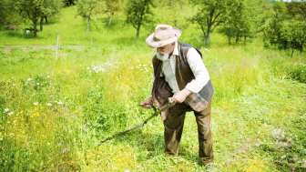 Sensenkurs: Ein altes Handwerk neu entdecken
