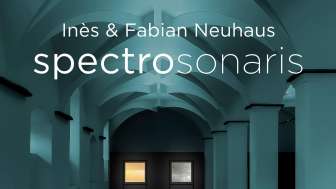 Am 6. Juni erklingt "Spectrosonaris" in und mit dem Gewölbesaal des Seemuseums Kreuzlingen. (Bild: Inès & Fabian Neuhaus)