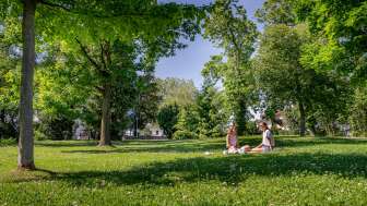 Stadtpark Arbon