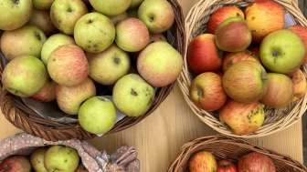 Obstsorten-Ausstellung