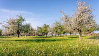 Einlösestellen Gastro Thurgau