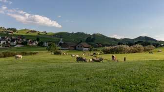Besuch auf dem Bauernhof